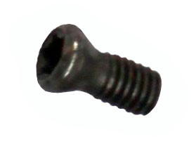 Spare torx screw
